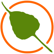 Bodhi Linux Logo